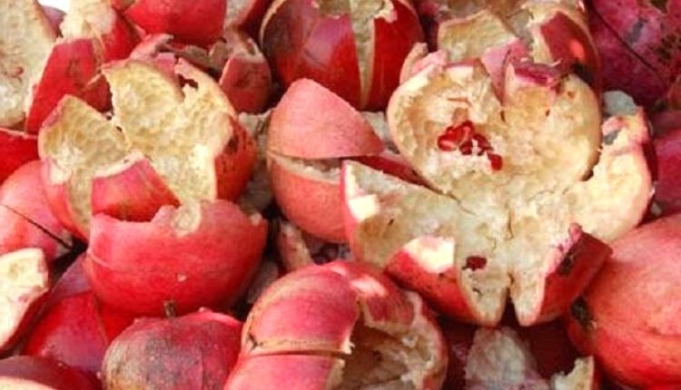 pomegranate peels