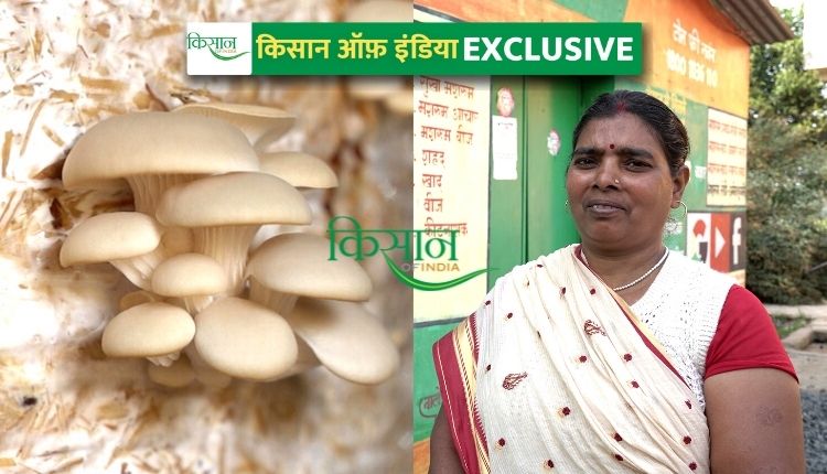 bihar mushroom lady मशरूम की खेती