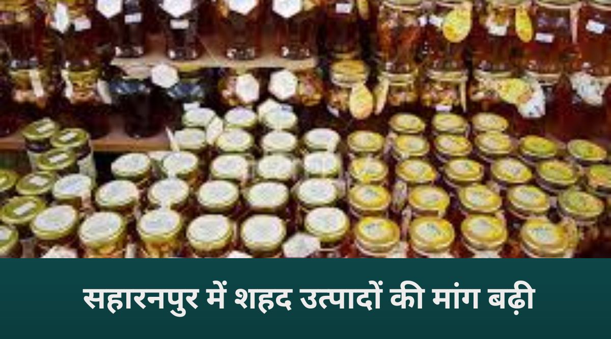 Saharanpur, The Honey Hub Of India: जहां हर बूंद में है शुद्धता,और हर शहद में है देश की पहचान