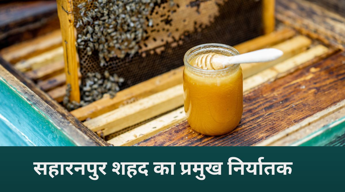 Saharanpur, The Honey Hub Of India: जहां हर बूंद में है शुद्धता,और हर शहद में है देश की पहचान