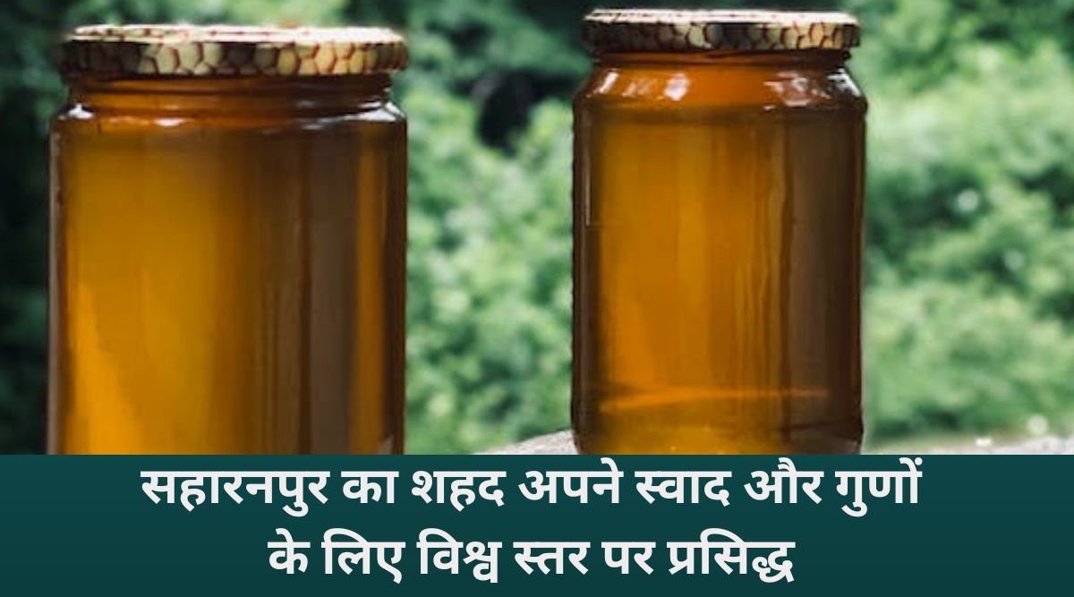 Saharanpur, The Honey Hub Of India: जहां हर बूंद में है शुद्धता,और हर शहद में है देश की पहचान