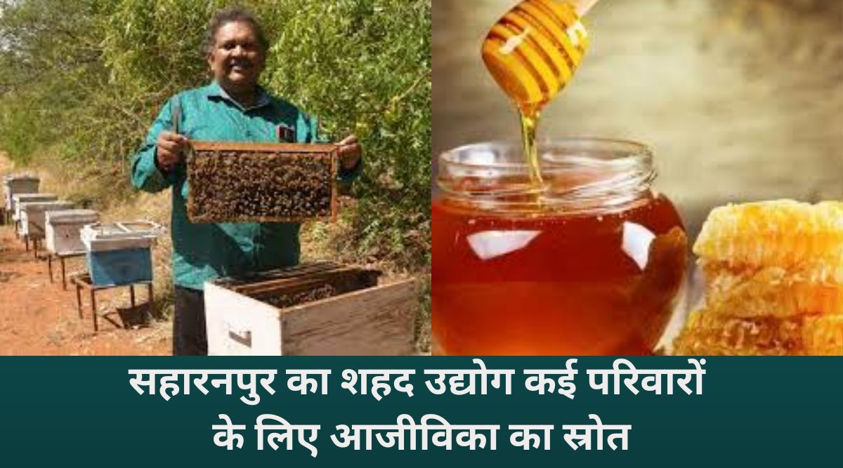 Saharanpur, The Honey Hub Of India: जहां हर बूंद में है शुद्धता,और हर शहद में है देश की पहचान
