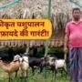एकीकृत पशुपालन integrated livestock farming