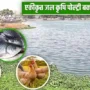 एकीकृत जल कृषि पोल्ट्री बकरी पालन Integrated Aquaculture Poultry Goat Farming System