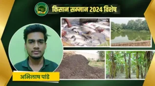 मछली पालन में नए तरीके केले का इस्तेमाल banana use in fish farming