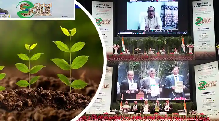 Global Soils Conference 2024